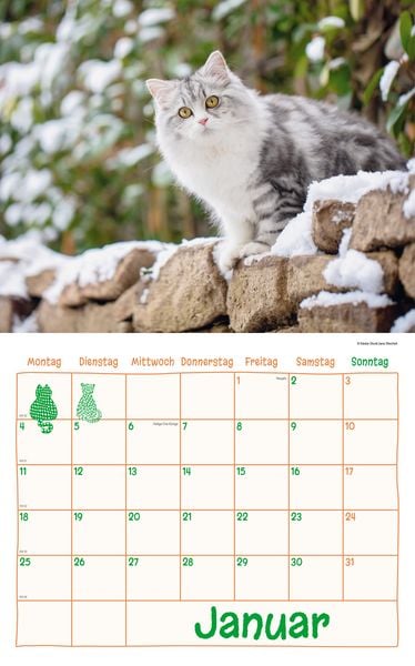 Produktbild: Katzen Kalenderpaket 2027