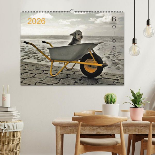 Produktbild: Bolonka 2026 (Wandkalender 2026 DIN A2 quer), CALVENDO Monatskalender