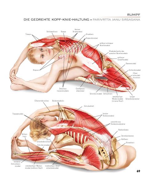 Produktbild: YOGA - Atlas der Anatomie