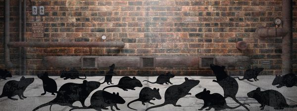 Produktbild: Escape Room. Der erste Escape-Adventskalender