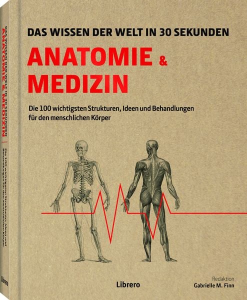 Anatomie und Medizin in 30 Sekunden, Gebundene Ausgabe von Gabrielle M. Finn, Librero, 978-94-6359-686-2