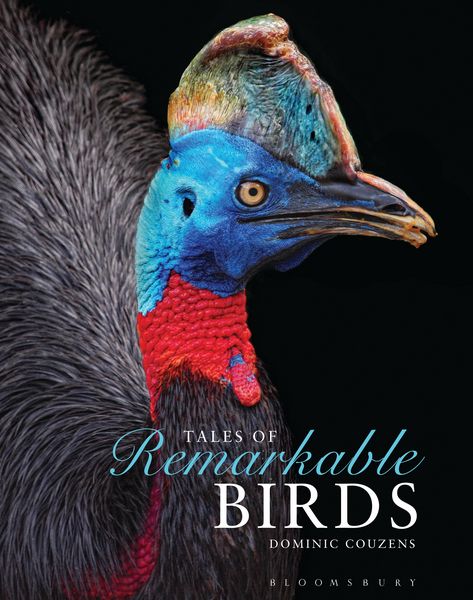 Produktbild: Tales of Remarkable Birds