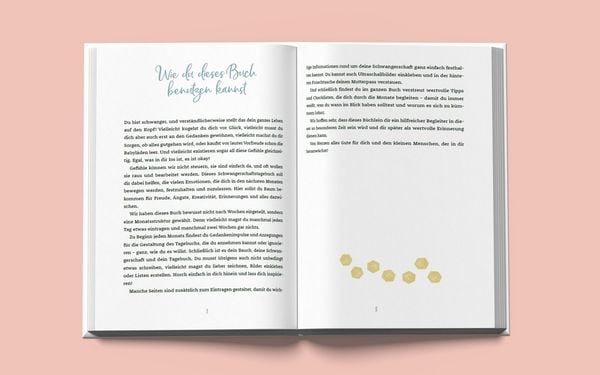 Produktbild: Das andere Schwangerschaftstagebuch (Punkte-Edition)