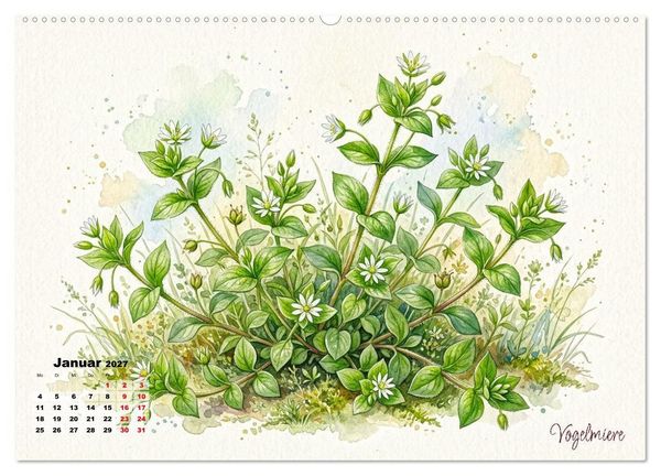 Produktbild: Wilde Kostbarkeiten &ndash; Essbar, gesund & wundersch&ouml;n (hochwertiger Premium Wandkalender 2027 DIN A2 quer), Kunstdruck in Hochglanz