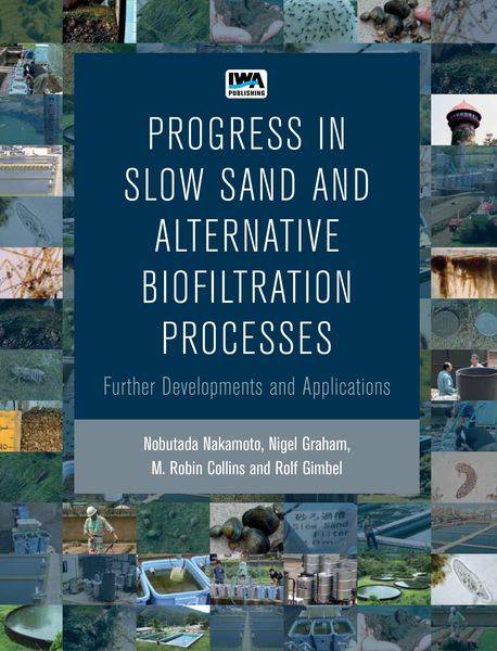 Produktbild: Progress in Slow Sand and Alternative Biofiltration Processes