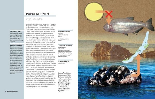 Produktbild: Die Evolution in 30 Sekunden