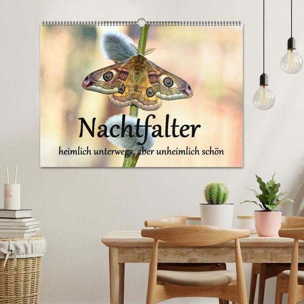 Produktbild: Nachtfalter - heimlich unterwegs, aber unheimlich sch&ouml;n (Wandkalender 2026 DIN A2 quer), CALVENDO Monatskalender