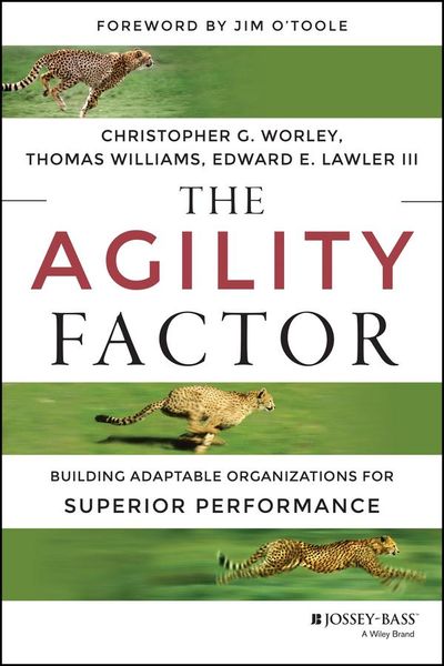 Produktbild: The Agility Factor