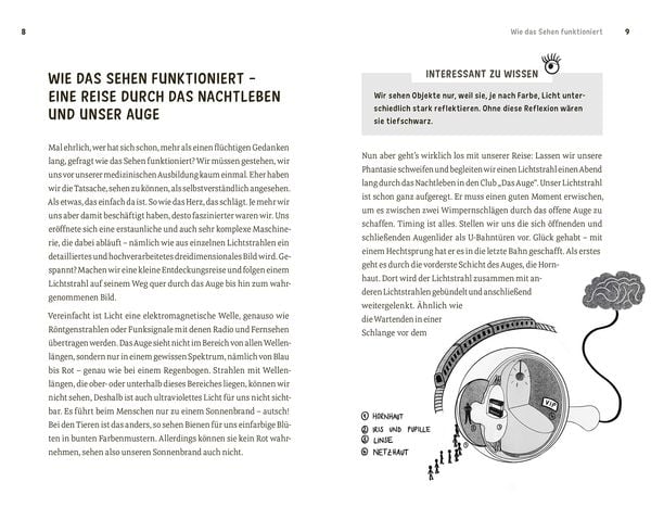 Faszination Auge