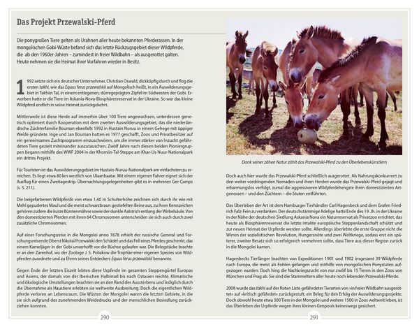 Produktbild: DuMont Reise-Handbuch Reisef&uuml;hrer Mongolei