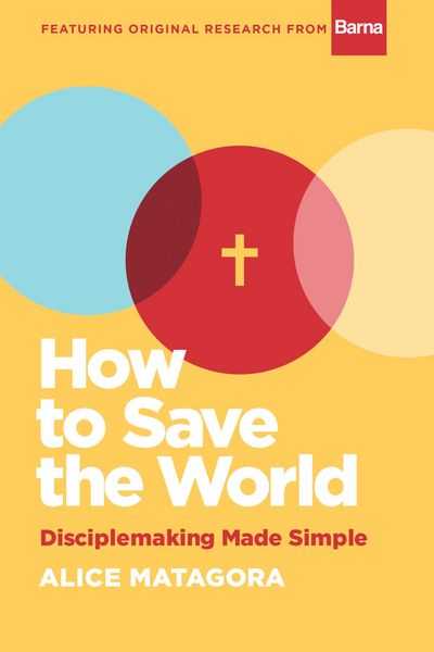 Produktbild: How to Save the World