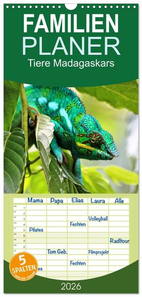 Produktbild: Familienplaner 2026 - Tiere Madagaskars mit 5 Spalten (Wandkalender, 21 x 45 cm) CALVENDO