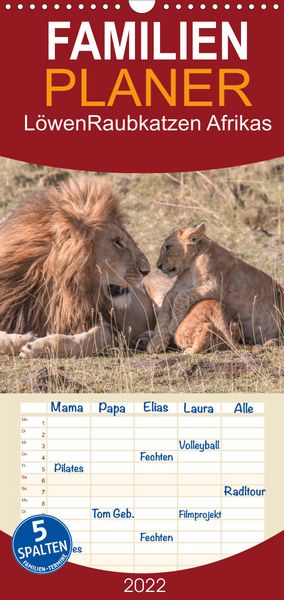 Produktbild: L&ouml;wen - Raubkatzen Afrikas - Familienplaner hoch (Wandkalender 2022 , 21 cm x 45 cm, hoch)