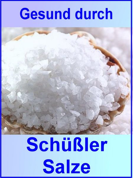 Produktbild: Gesund durch Sch&uuml;&szlig;ler Salze