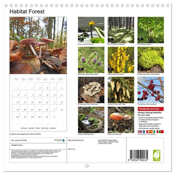 Produktbild: Habitat Forest (Wall Calendar 2026 12 &times; 12 Inch) CALVENDO 12 Month Wall Calendar