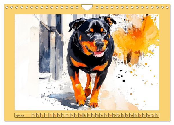 Produktbild: Kraftvolle Rottweiler. Stattliche Begleithunde im Aquarell-Stil (Wandkalender 2026 DIN A4 quer), CALVENDO Monatskalender