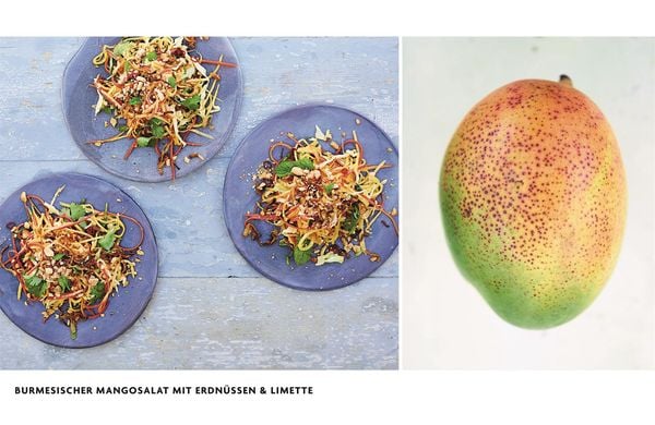 Asien vegetarisch