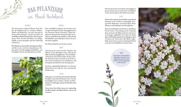 Produktbild: Die Magie der Natur: Hexenkr&auml;uter im Hochbeet