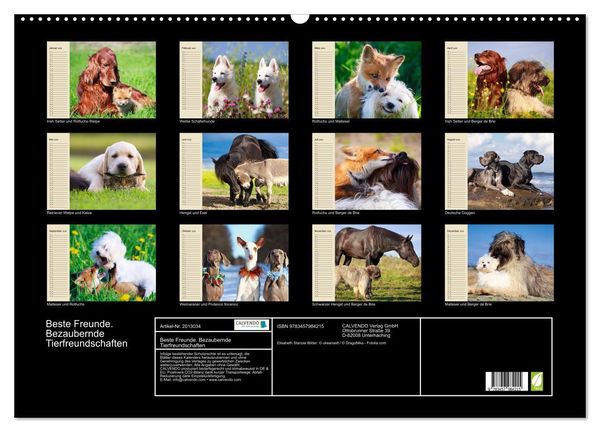 Produktbild: Beste Freunde. Bezaubernde Tierfreundschaften (Wandkalender 2026 DIN A2 quer), CALVENDO Monatskalender