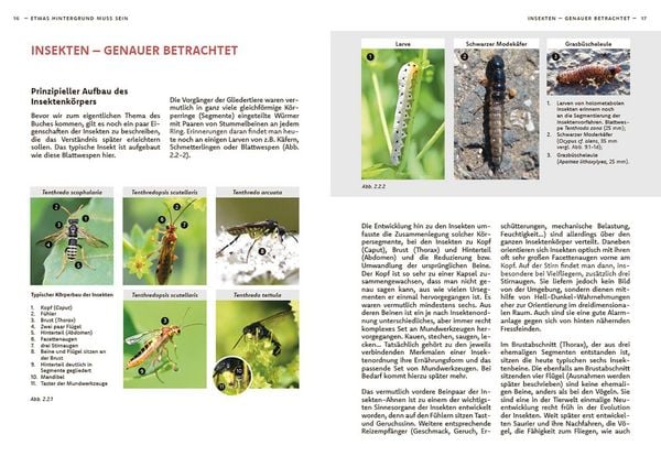 Produktbild: Wildbienen haben es auch nicht leicht