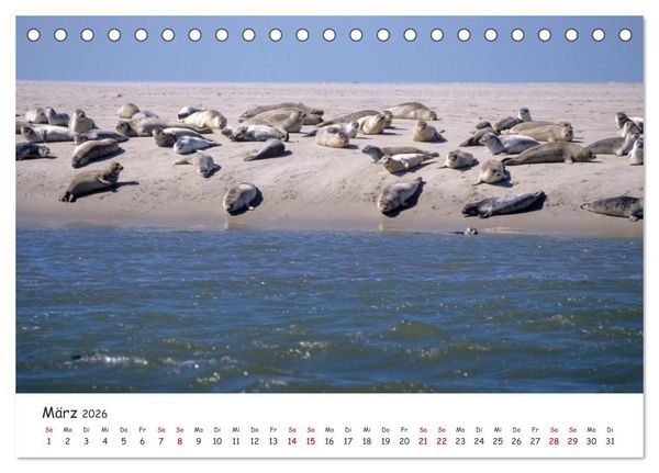 Produktbild: Nordsee, Meer, Strand und Wind (Tischkalender 2026 DIN A5 quer), CALVENDO Monatskalender