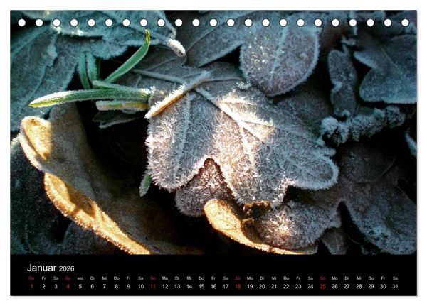Produktbild: land und leben (Tischkalender 2026 DIN A5 quer), CALVENDO Monatskalender