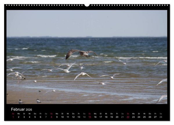 Produktbild: Texel, eine Perle Hollands (Wandkalender 2026 DIN A2 quer), CALVENDO Monatskalender