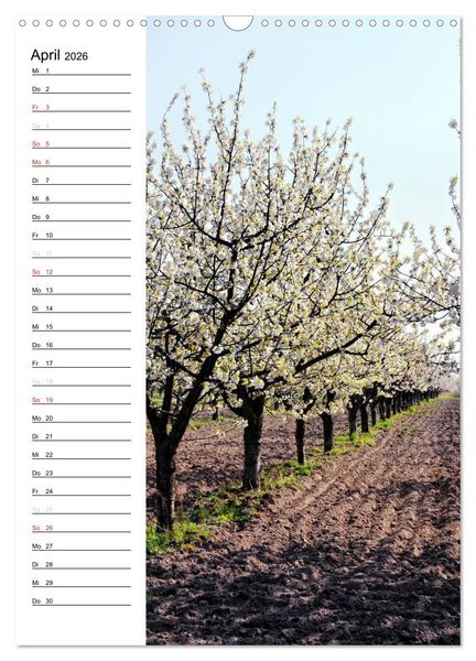 Produktbild: Land Brandenburg im Wechsel der Jahreszeiten (Wandkalender 2026 DIN A3 hoch), CALVENDO Monatskalender