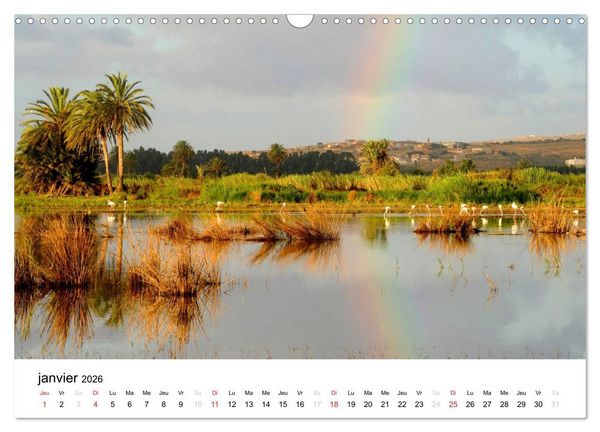 Produktbild: Maroc Au fil de l'eau (Calendrier mural 2026 DIN A3 vertical), CALVENDO calendrier mensuel