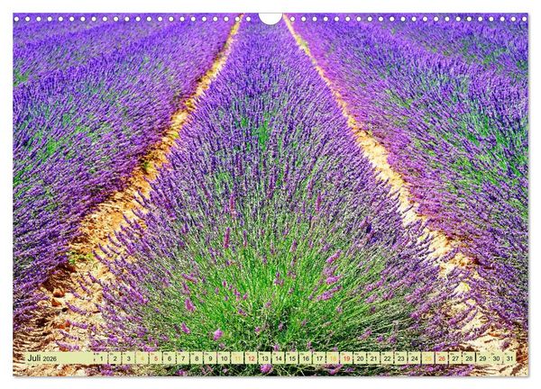 Produktbild: Traum-Ziele - Lavendel der Provence, Frankreich (Wandkalender 2026 DIN A3 quer), CALVENDO Monatskalender