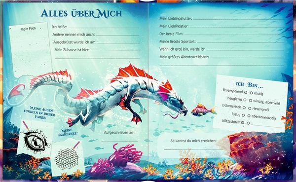 Produktbild: Freundebuch &ndash; Meine Freunde