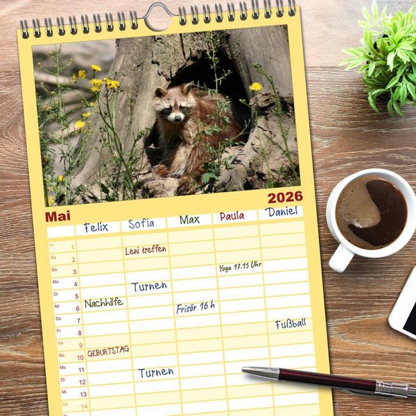 Produktbild: Familienplaner 2026 - Waschb&auml;ren mit 5 Spalten (Wandkalender, 21 x 45 cm) CALVENDO