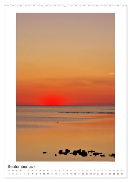 Produktbild: B&uuml;sum - Impressionen eines Sommers (hochwertiger Premium Wandkalender 2026 DIN A2 hoch), Kunstdruck in Hochglanz