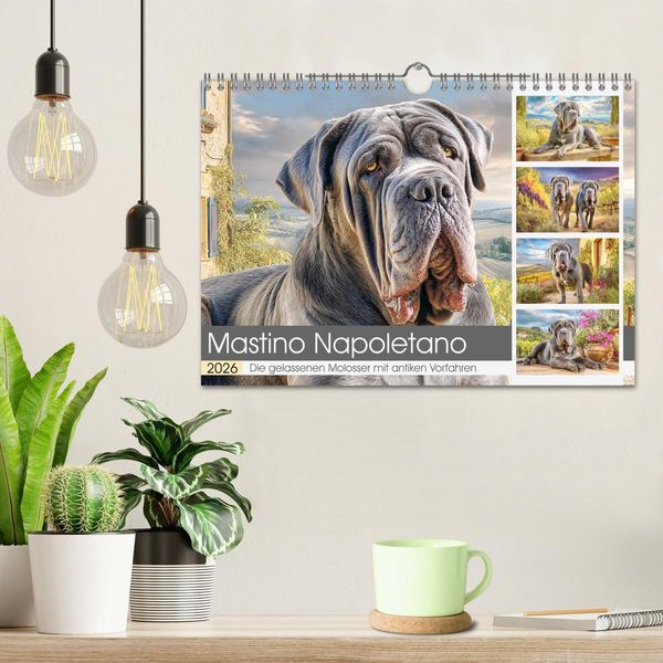 Produktbild: Mastino Napoletano. Die gelassenen Molosser mit antiken Vorfahren (Wandkalender 2026 DIN A4 quer), CALVENDO Monatskalender