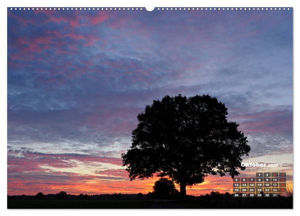 Produktbild: Die Dingdener Heide im Wandel der Jahreszeiten (Wandkalender 2026 DIN A2 quer), CALVENDO Monatskalender