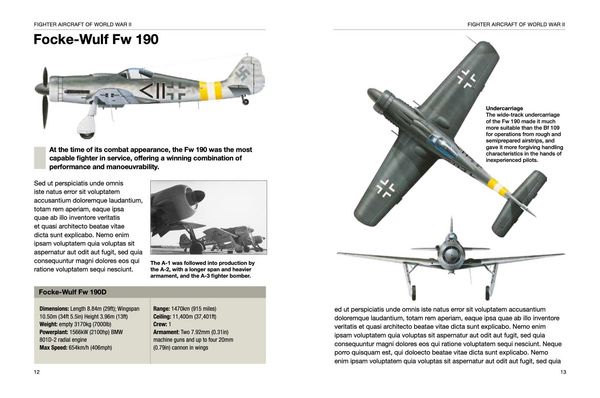 Produktbild: Fighter Aircraft of World War II