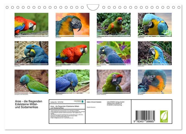 Produktbild: Aras - die fliegenden Edelsteine Mittel- und S&uuml;damerikas (Wandkalender 2026 DIN A4 quer), CALVENDO Monatskalender