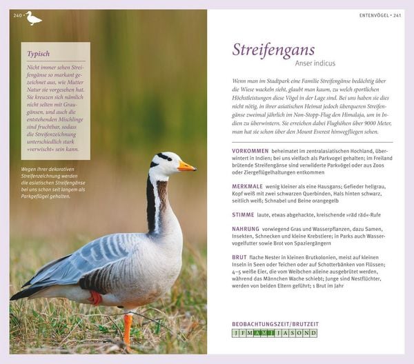 Produktbild: Gartenv&ouml;gel