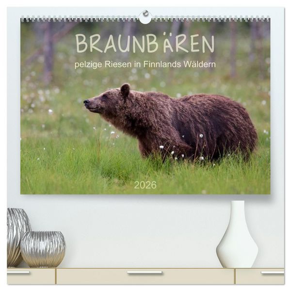 Produktbild: Braunb&auml;ren - pelzige Riesen in Finnlands W&auml;ldern (hochwertiger Premium Wandkalender 2026 DIN A2 quer), Kunstdruck in Hochglanz