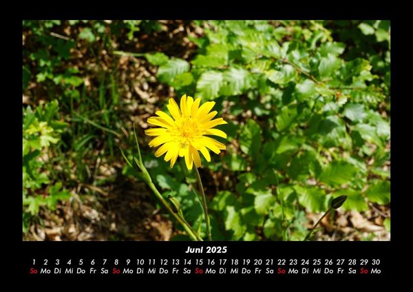 Produktbild: Naturlandschaften 2025 Fotokalender DIN A3