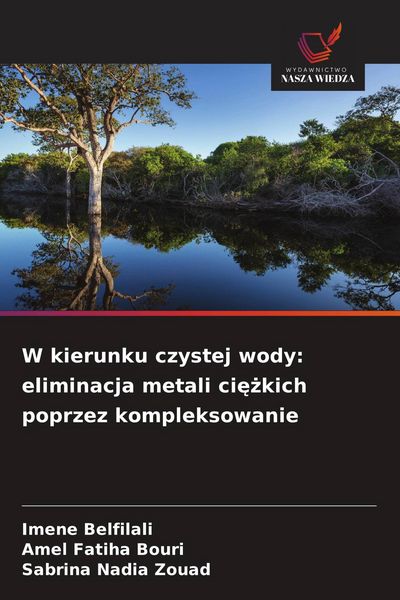 Produktbild: W kierunku czystej wody: eliminacja metali ci&iquest;&iquest;kich poprzez kompleksowanie