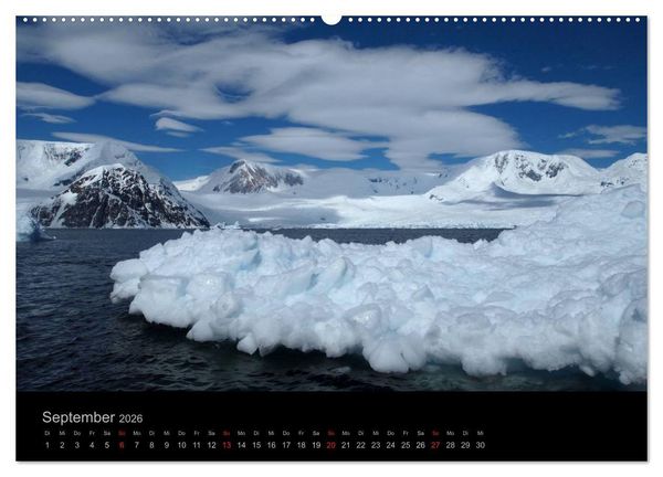 Produktbild: Antarktische Impressionen (Wandkalender 2026 DIN A2 quer), CALVENDO Monatskalender