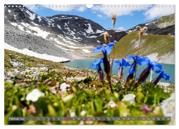 Produktbild: Flora der Alpen (Wandkalender 2026 DIN A3 quer), CALVENDO Monatskalender