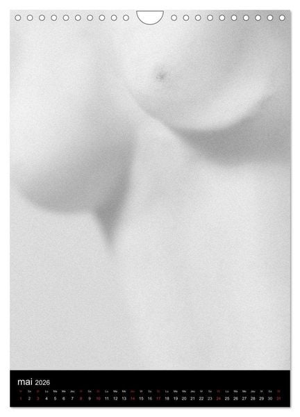 Produktbild: F&eacute;minit&eacute; (Calendrier mural 2026 DIN A4 horizontal), CALVENDO calendrier mensuel