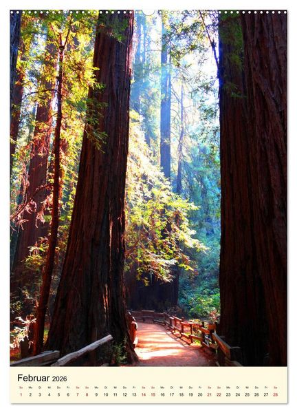Produktbild: Redwoods - Faszination Mammutb&auml;ume (Wandkalender 2026 DIN A2 hoch), CALVENDO Monatskalender