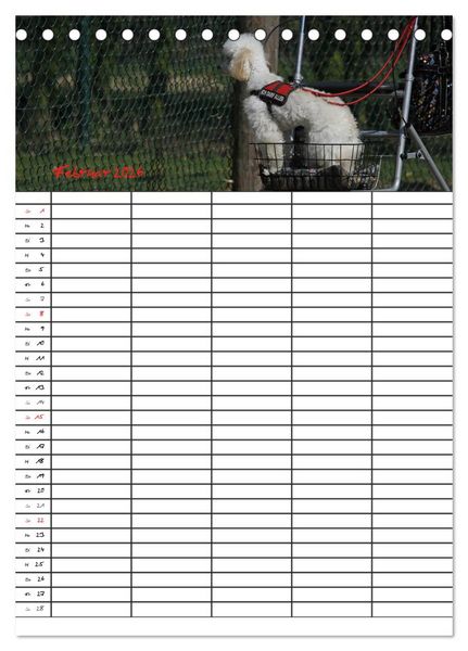 Produktbild: Der Pudel-Familienplaner (Tischkalender 2026 DIN A5 hoch), CALVENDO Monatskalender