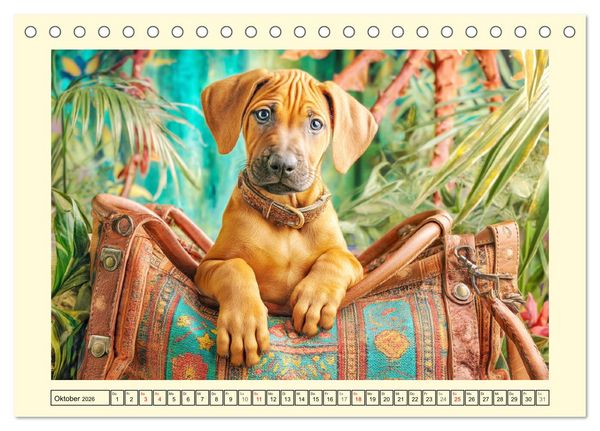 Produktbild: Rhodesian Ridgeback. Kraft und Sanftmut in vollkommener Balance (Tischkalender 2026 DIN A5 quer), CALVENDO Monatskalender