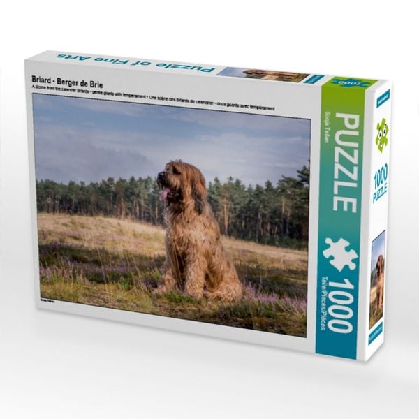 Briard - Berger de Brie (Puzzle)