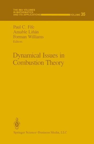 Produktbild: Dynamical Issues in Combustion Theory