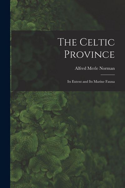 Produktbild: The Celtic Province